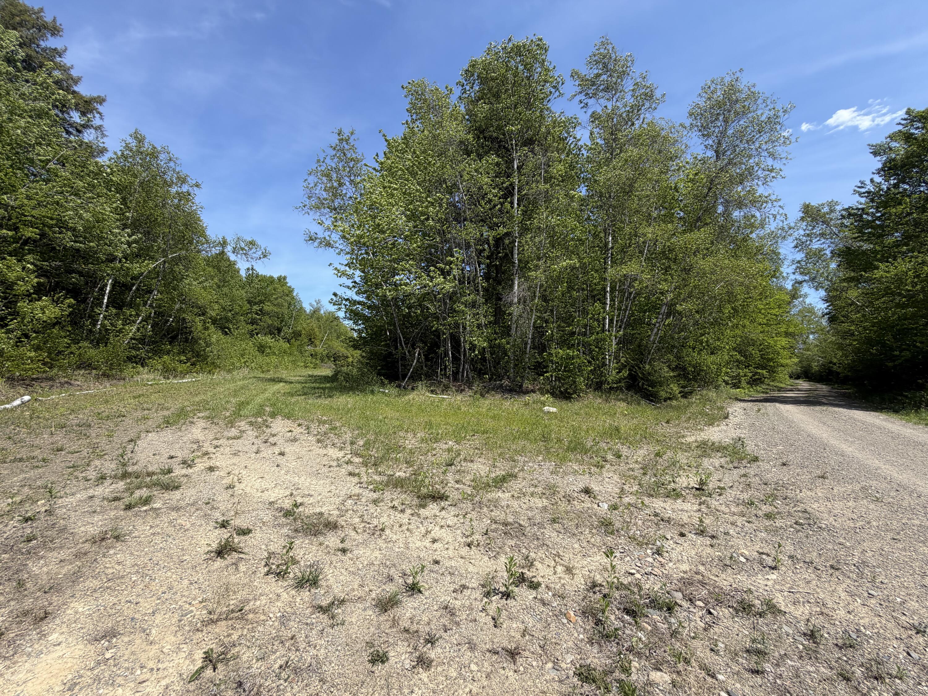 Lot 49 Independence Circle Springfield, ME 04487 - Photo 3 of 8 IMG_1938