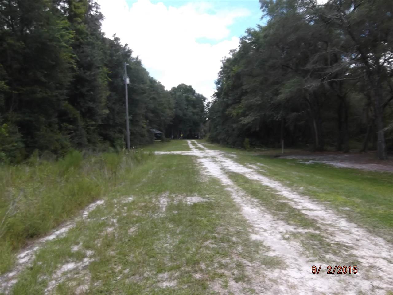 0 Forest Street, Unit 1 Perry, FL 32348 - Photo 1 of 4 Gallery Image 1
