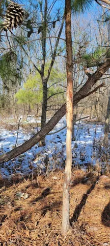 850 East E Cr, Cannelburg, IN 47519