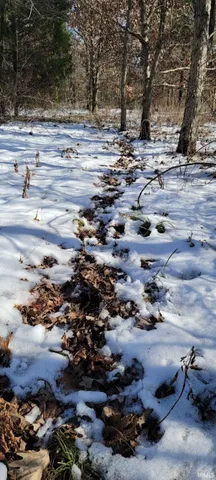 850 East E Cr, Cannelburg, IN 47519