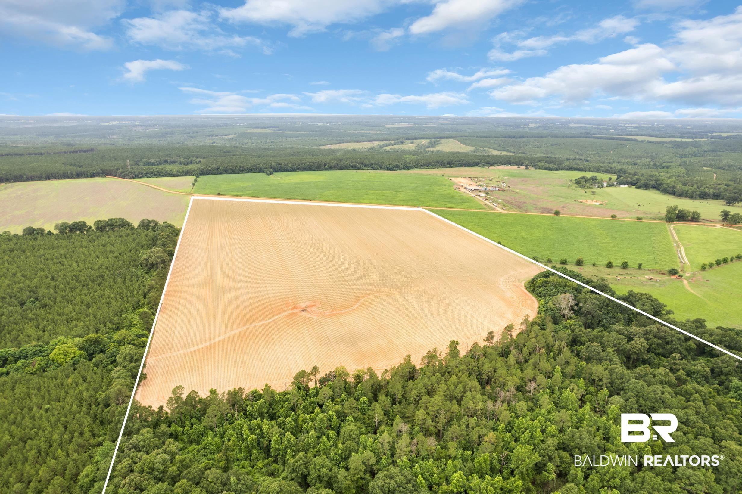 0 Old Stage Road Repton, AL 36475 - Photo 2 of 27 Gallery Image 2