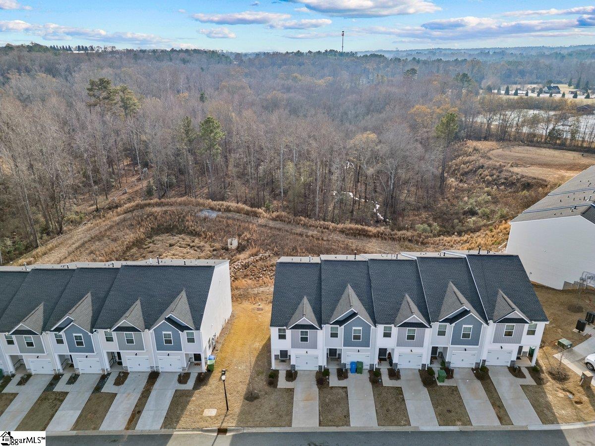 1 Apollo View Lane Greenville, SC 29607 - Photo 17 of 19