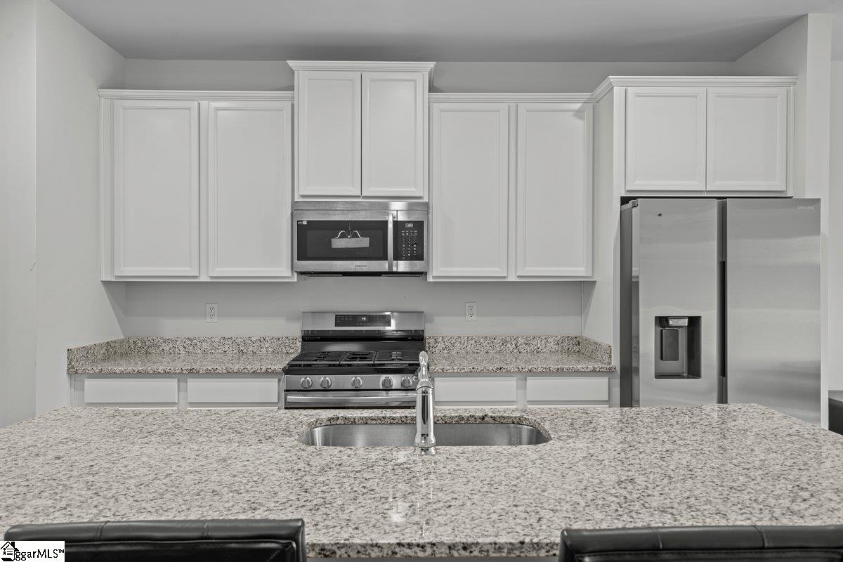 1 Apollo View Lane Greenville, SC 29607 - Photo 2 of 19