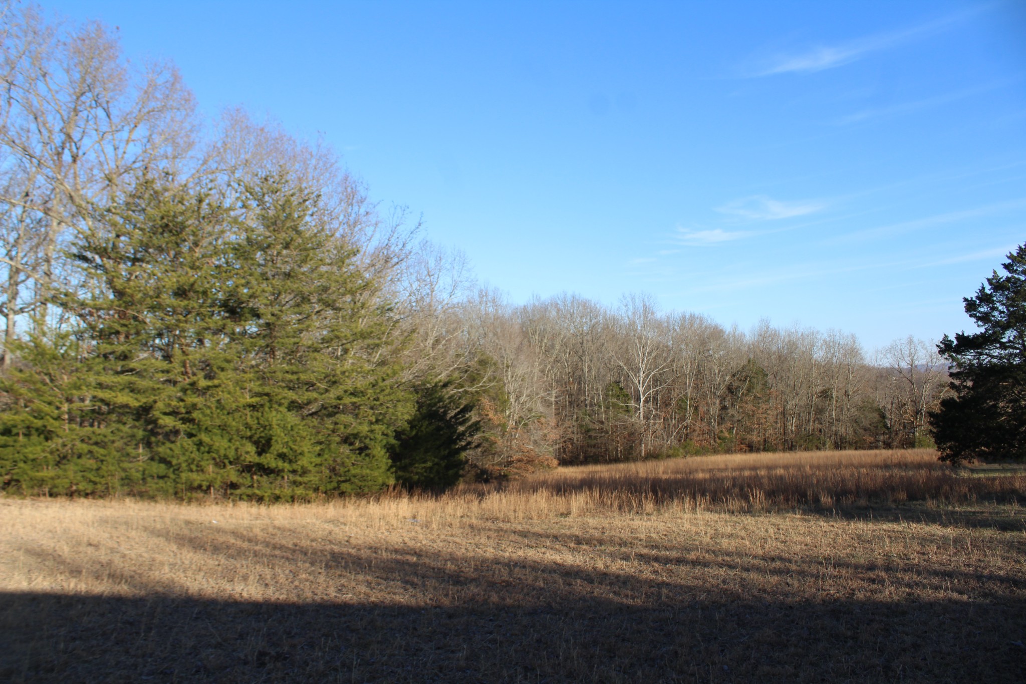 0 Yager Road McMinnville, TN 37110 - Photo 1 of 10 Gallery Image 1