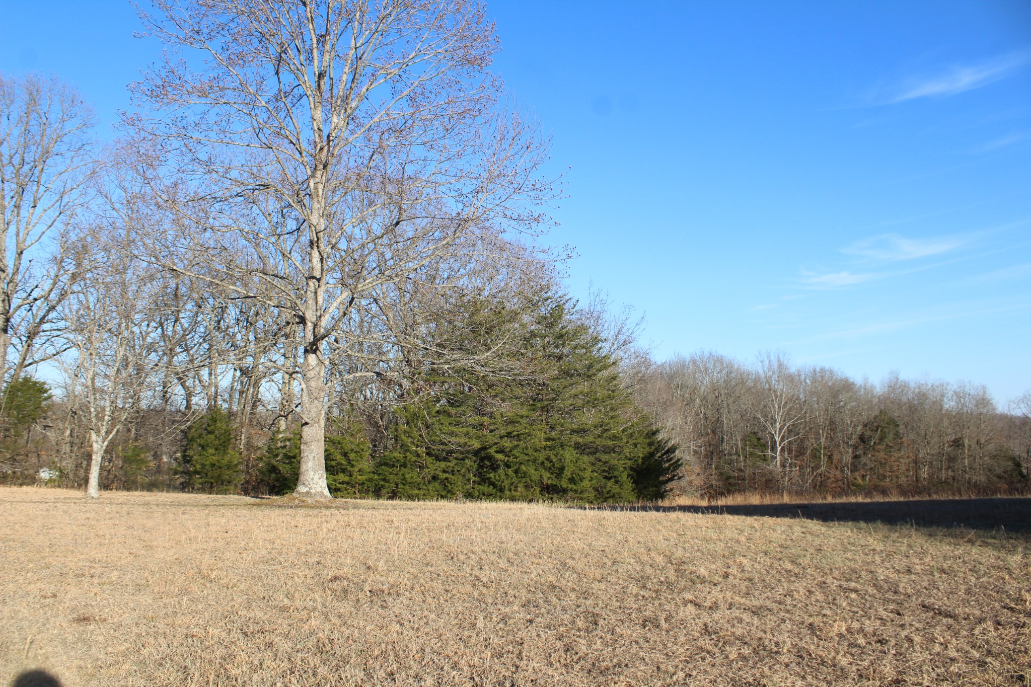 0 Yager Road McMinnville, TN 37110 - Photo 2 of 10 Gallery Image 2