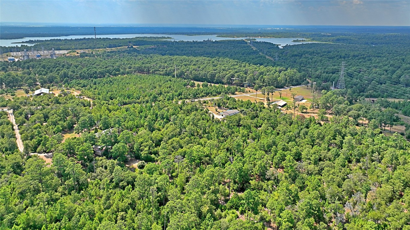 Tbd Pine Tree Loop Bastrop, TX 78602 - Photo 4 of 11