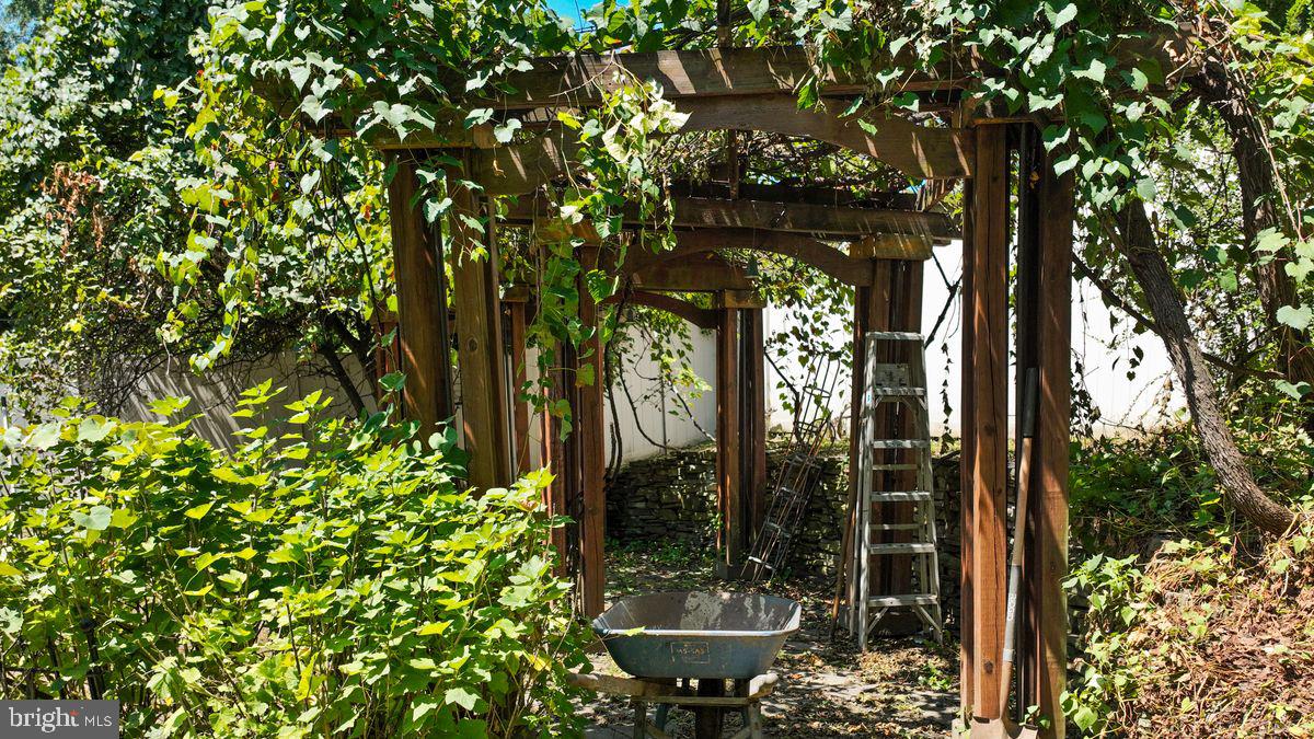 109 Edgehill Road Bala Cynwyd, PA 19004 - Photo 47 of 49 grape arbor