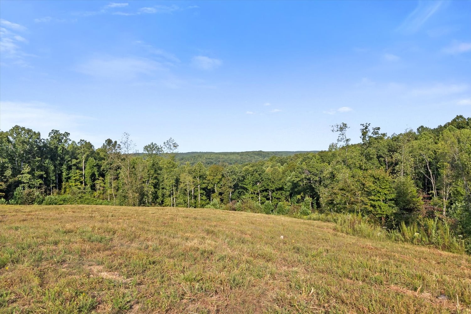 0 Kro Hollow Road Hohenwald, TN 38462 - Photo 27 of 35 Gallery Image 27