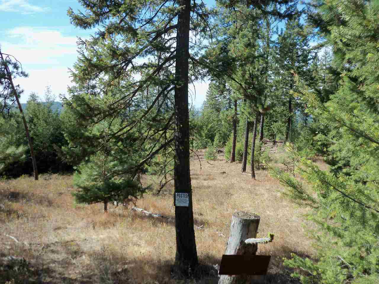 Xx North Madison Road Chattaroy, WA 99003 - Photo 1 of 10