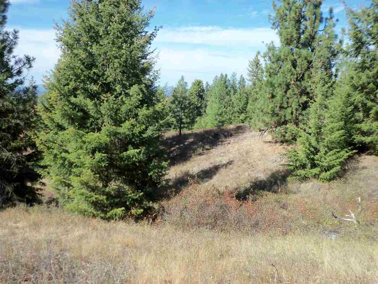 Xx North Madison Road Chattaroy, WA 99003 - Photo 5 of 10