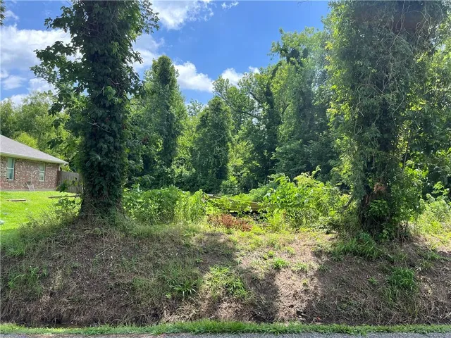 $29,900 | Lot 14 Magnolia Drive, La Place, LA 70068
