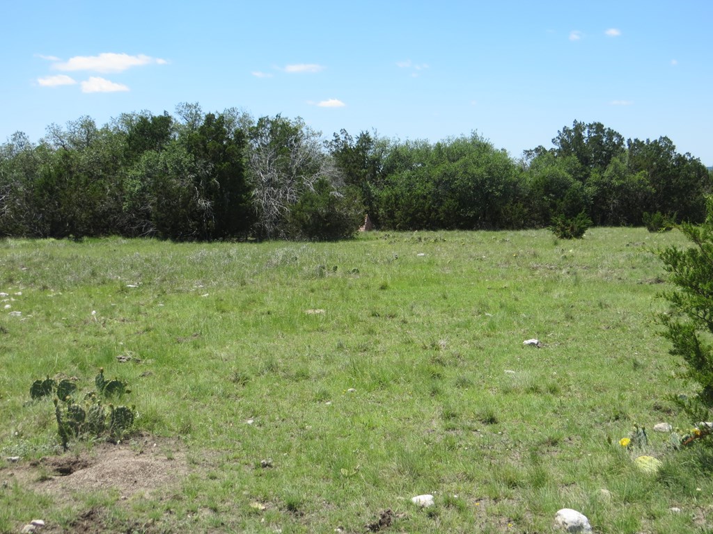 24 Kc 24 Junction, TX 76849 - Photo 16 of 23 a view of a yard with a tree