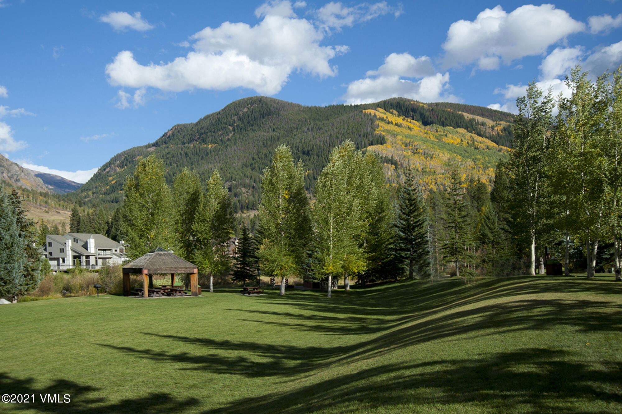 4506 Spruce Way, Unit 4 Vail, CO 81657 - Photo 30 of 31 a view of a park