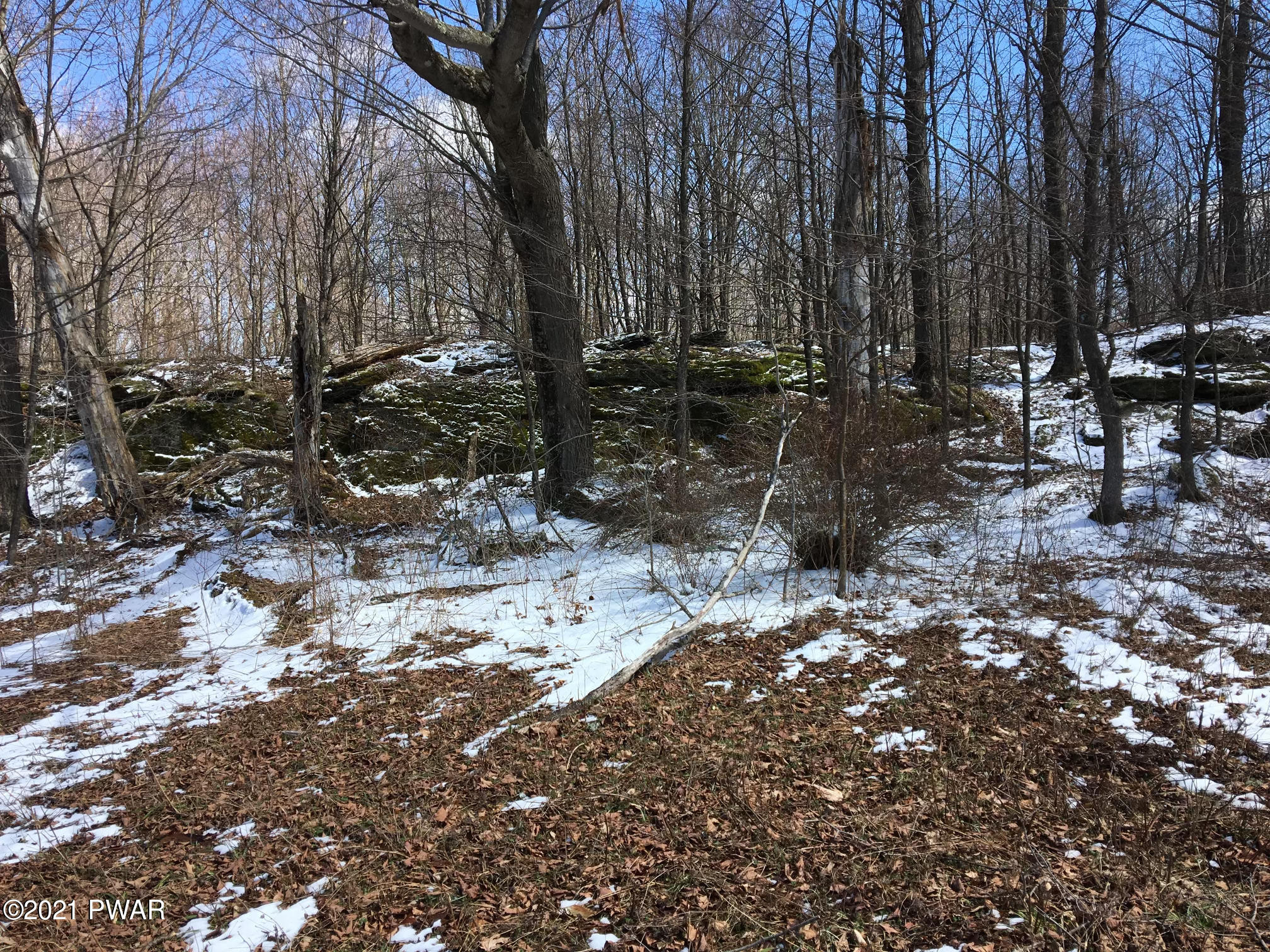 Starrucca Creek Road Susquehanna, PA 18847 - Photo 10 of 11