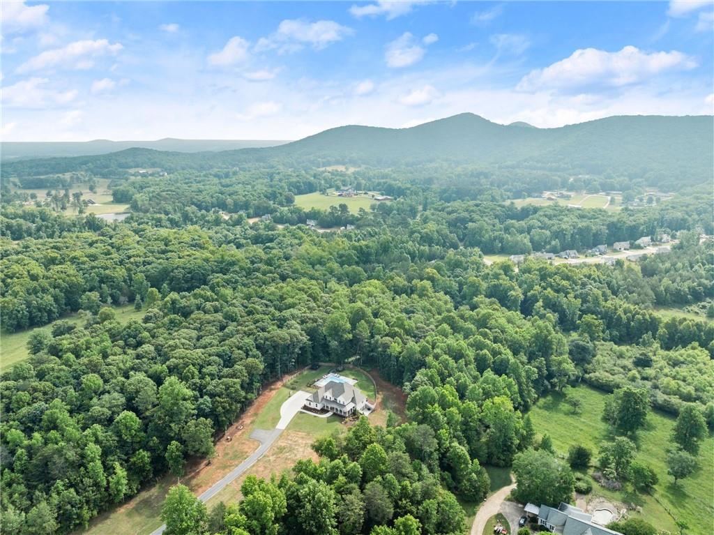 6998 Britt Gailey Road Clermont, GA 30527 - Photo 83 of 92