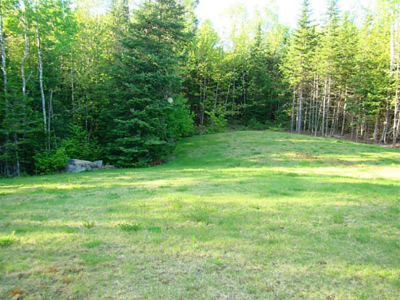 566 Ridge Drive Hermon, ME 04401 - Photo 10 of 26 Yard/Garden.