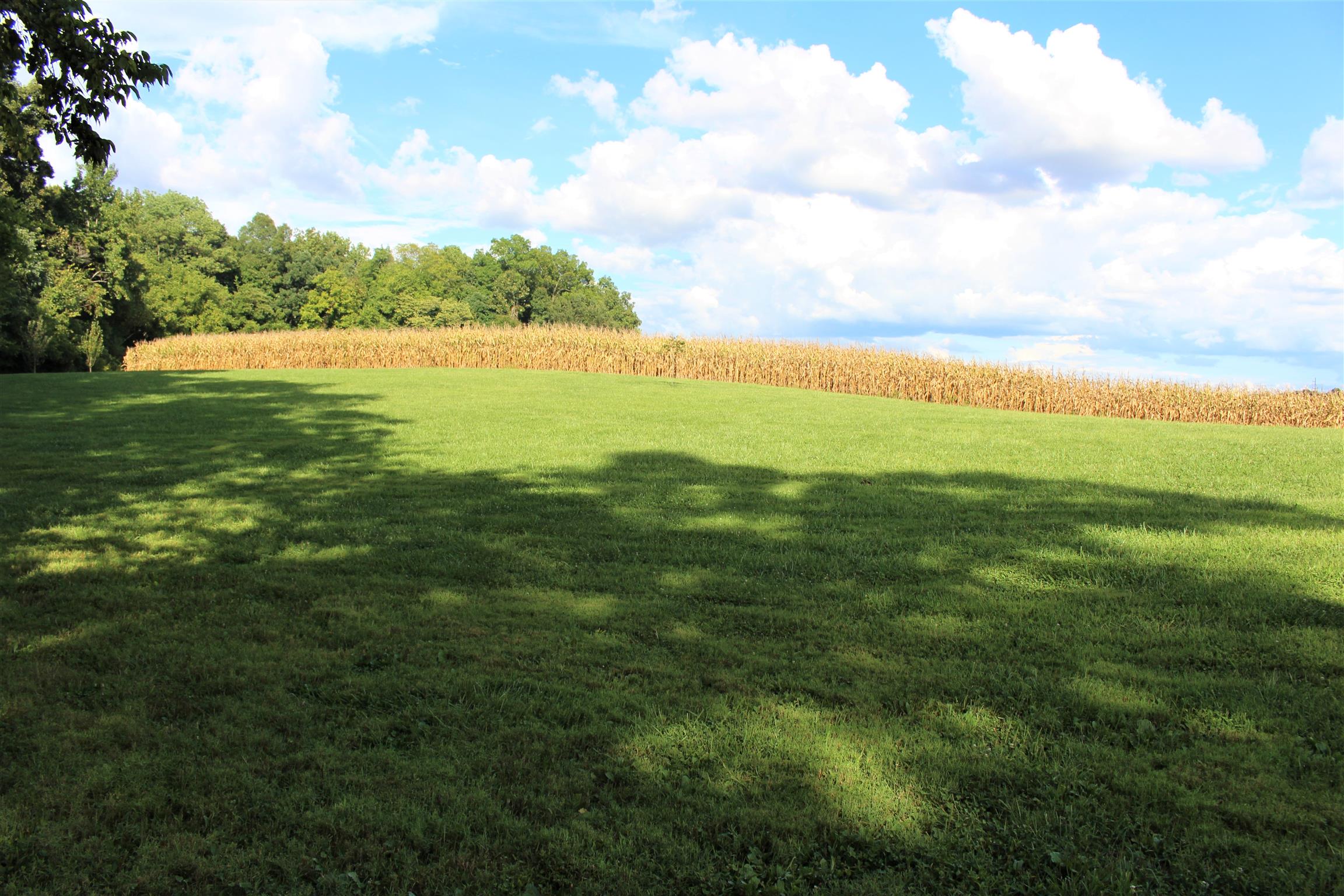 2220 Kinneys Road Cedar Hill, TN 37032 - Photo 23 of 23 a view of an ocean from a yard