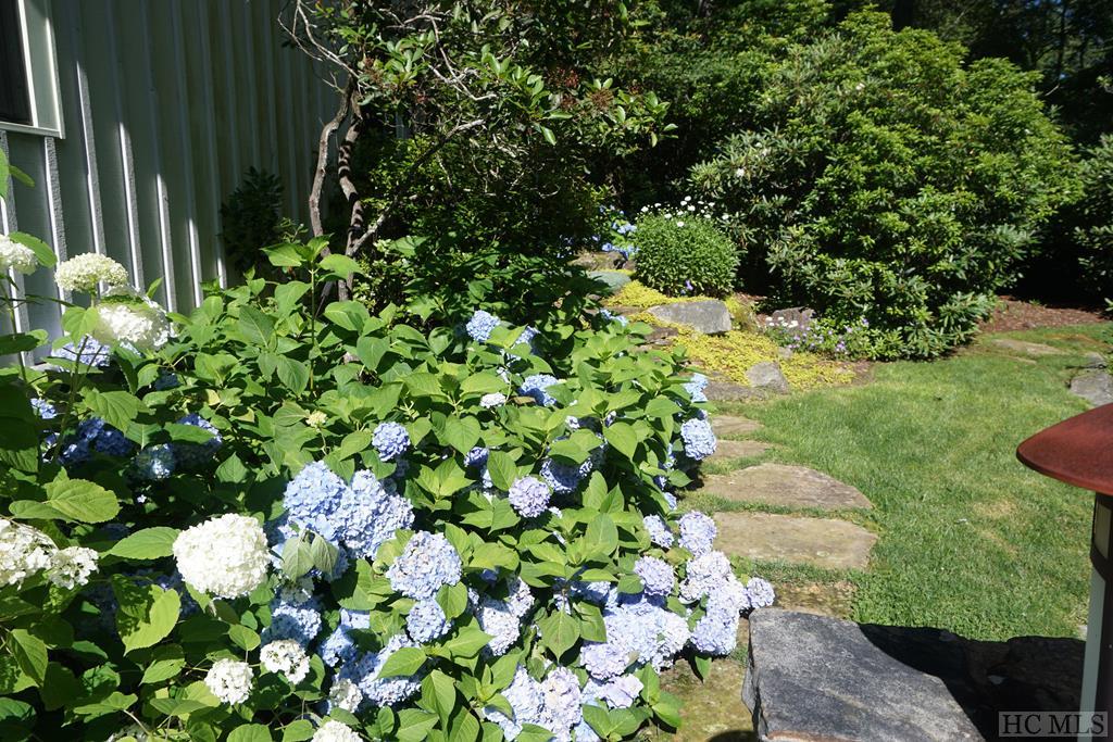 1266 Bowery Road Highlands, NC 28741 - Photo 44 of 46 Gallery Image 44