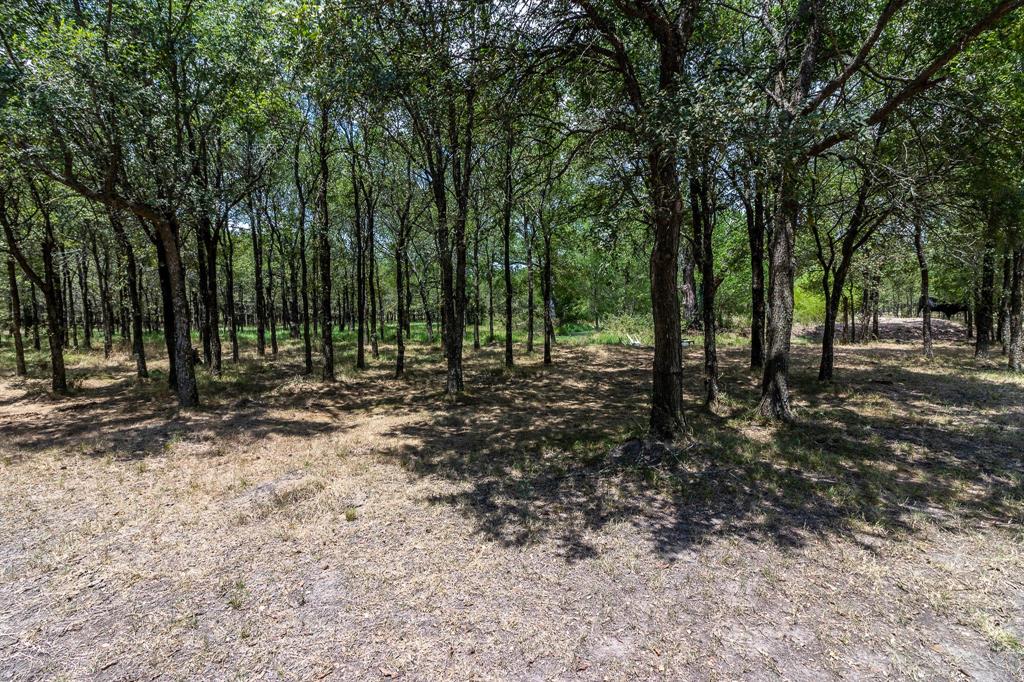 0 Cr-4076 Scurry, TX 75158 - Photo 5 of 12 a view of outdoor space with trees