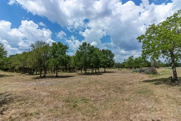 a view of a yard with tree s