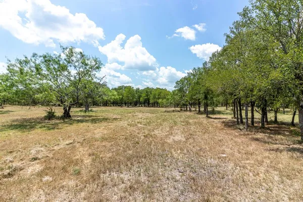 a view of yard with tree