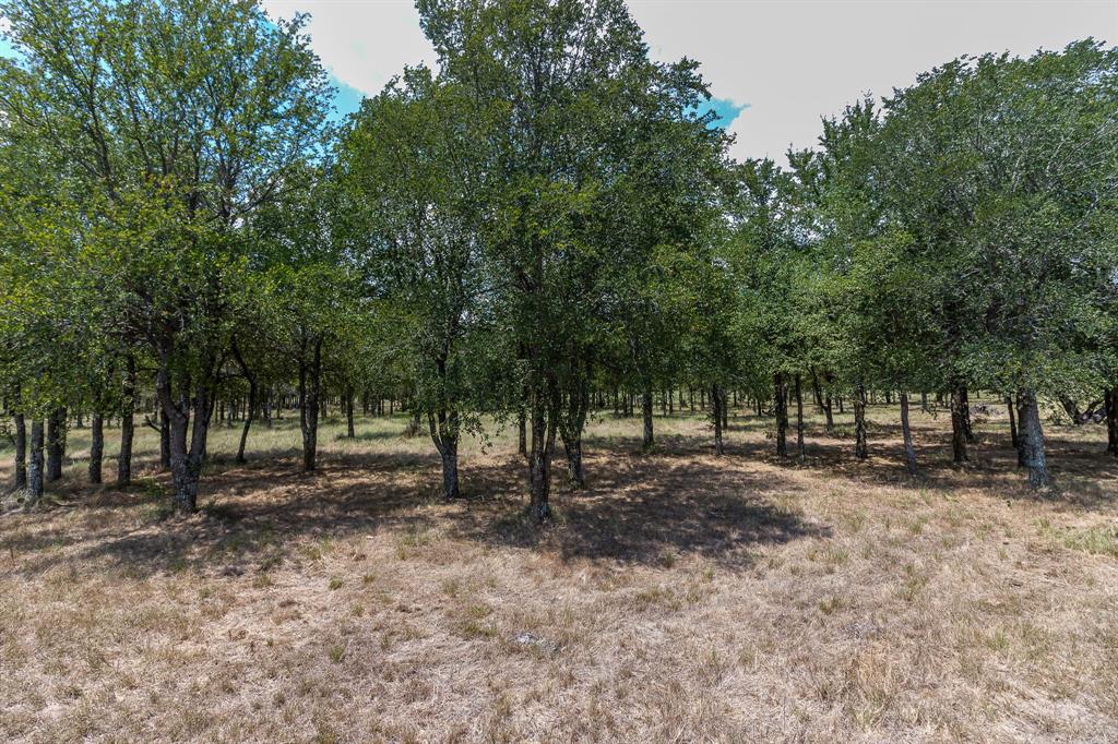 0 Cr-4076 Scurry, TX 75158 - Photo 8 of 12 a view of a yard with tree s