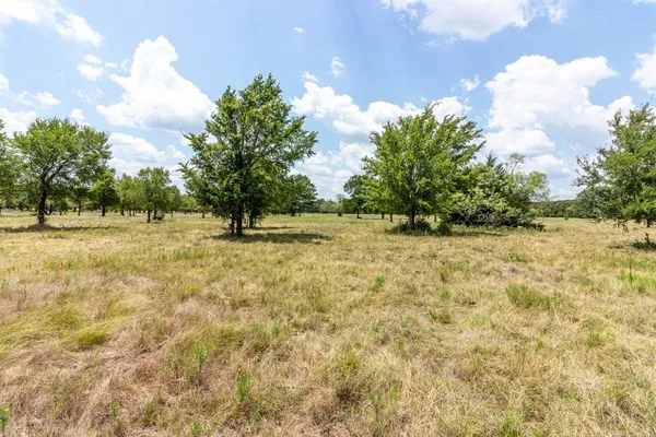 a view of a dirt road with trees in the background