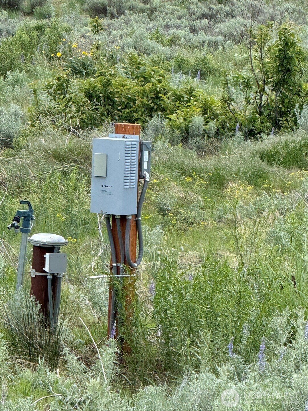 3 Ruttin Ridge Road Methow, WA 98834 - Photo 19 of 35 Gallery Image 19