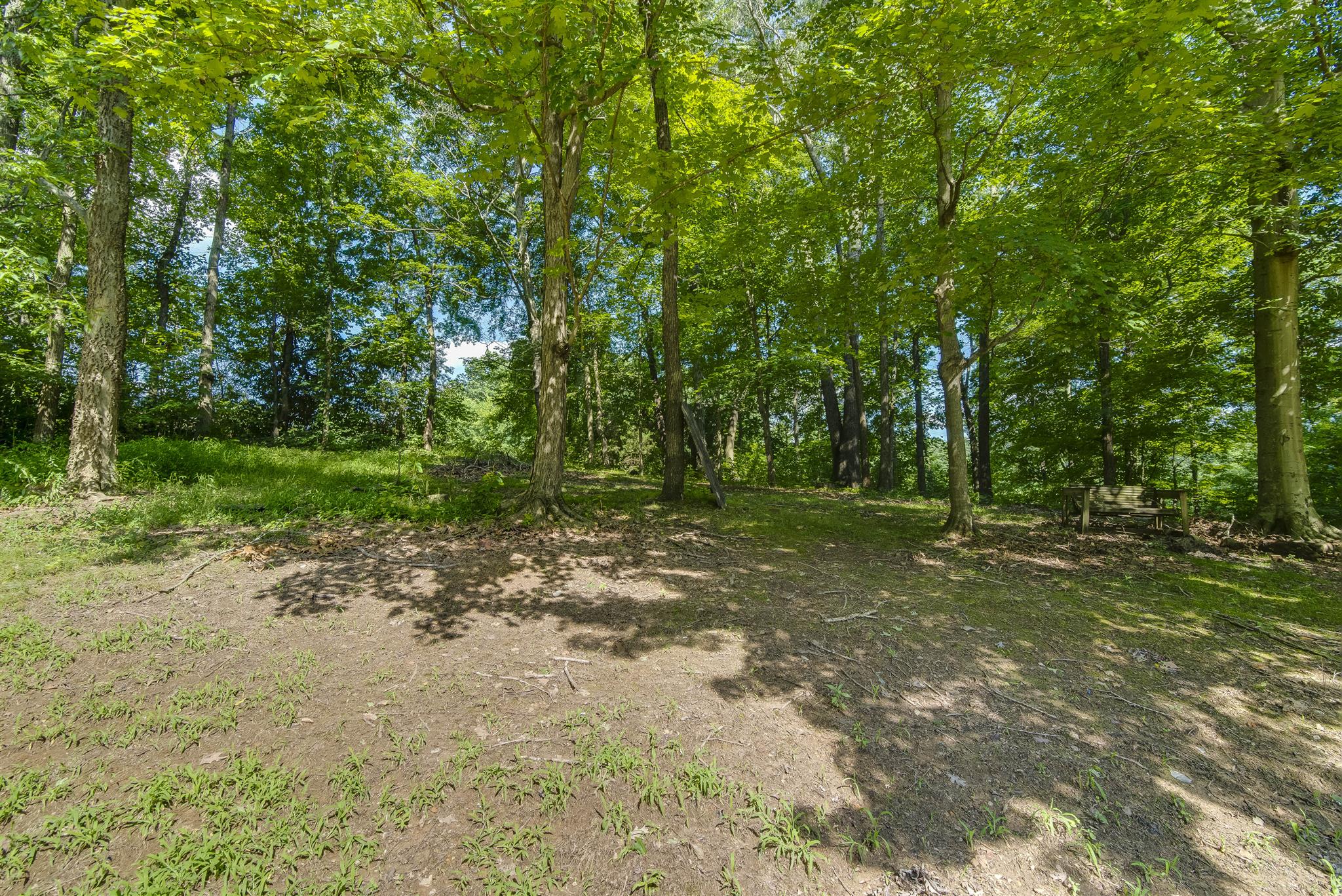6913 Herbert Shannon Road Springfield, TN 37172 - Photo 3 of 13