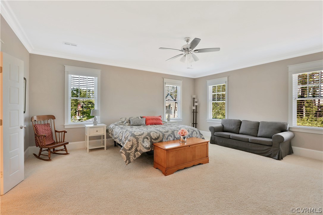 16219 Old Castle Road Midlothian, VA 23112 - Photo 24 of 41 Gallery Image 24