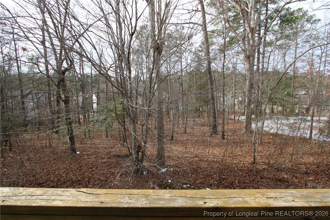 1656 Snow Mass Way Durham, NC 27713 - Photo 50 of 50