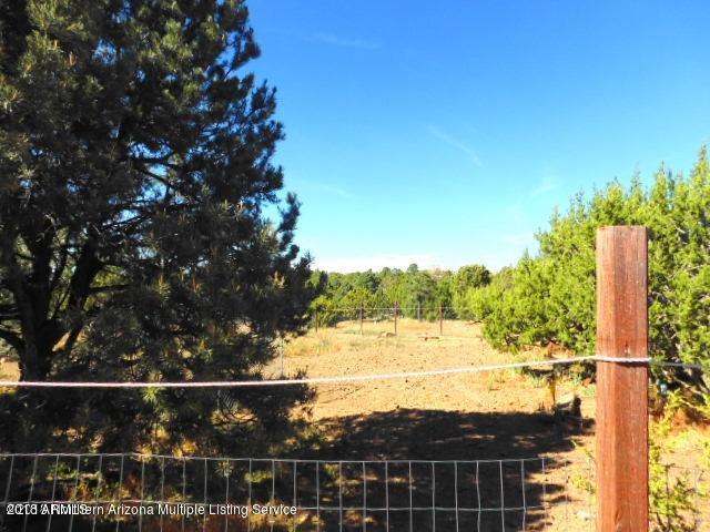 2393 East Fir Road Williams, AZ 86046 - Photo 13 of 24 2393 E. Fir Rd (15)