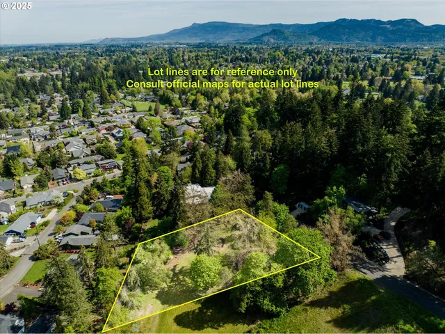 a view of a bunch of trees and bushes