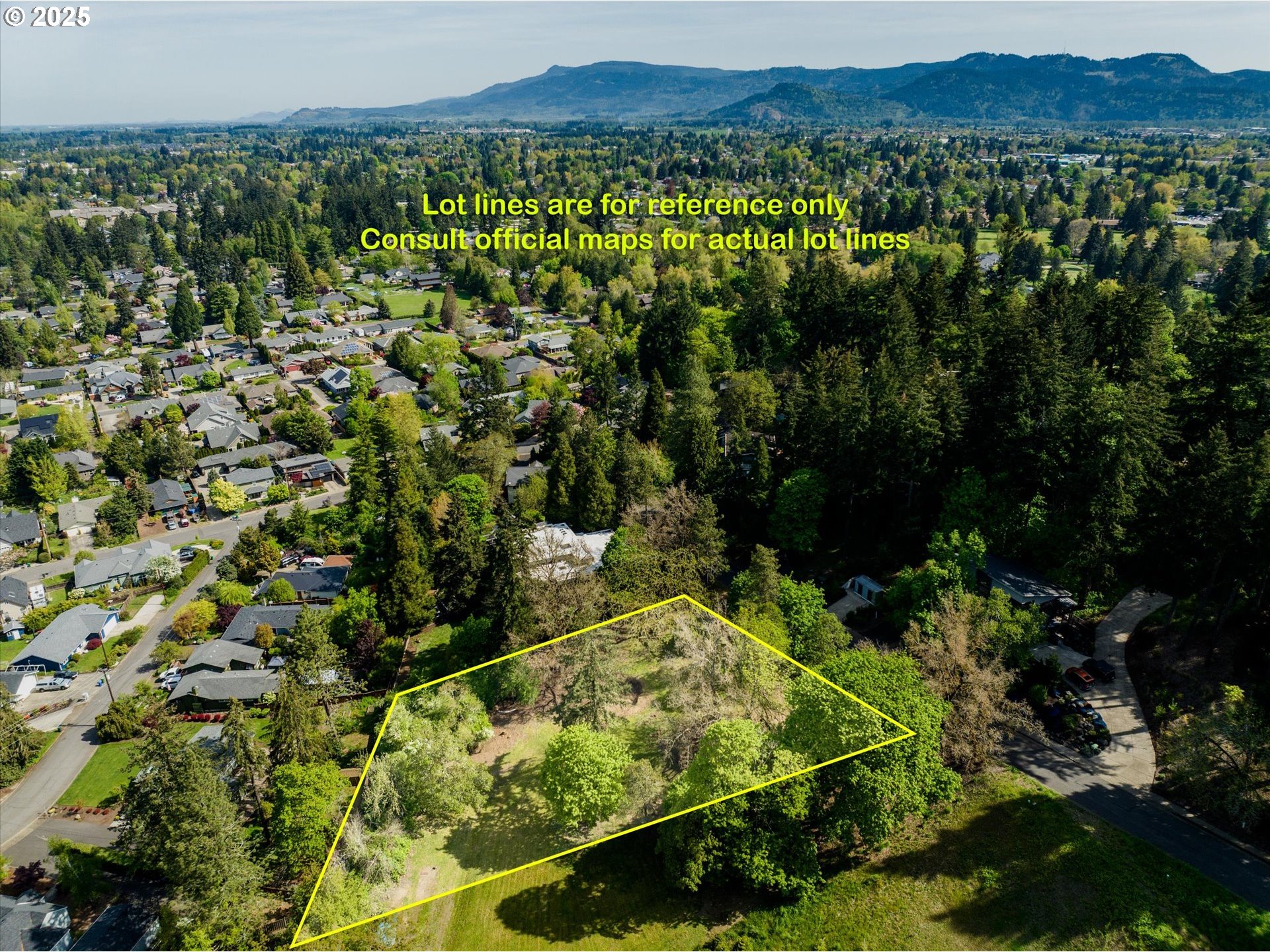 0 Crenshaw Road Eugene, OR 97401 - Photo 1 of 35 a view of a bunch of trees and bushes