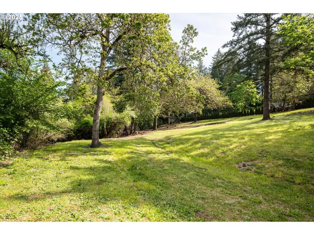 a view of an outdoor space and a yard