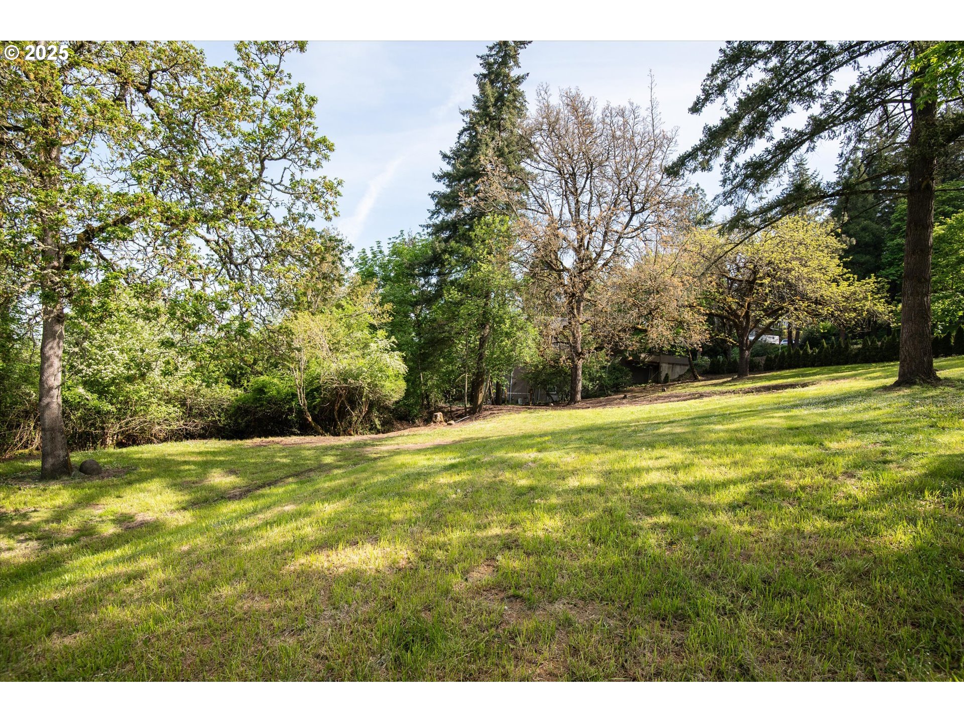 0 Crenshaw Road Eugene, OR 97401 - Photo 12 of 35 a view of a big yard with trees
