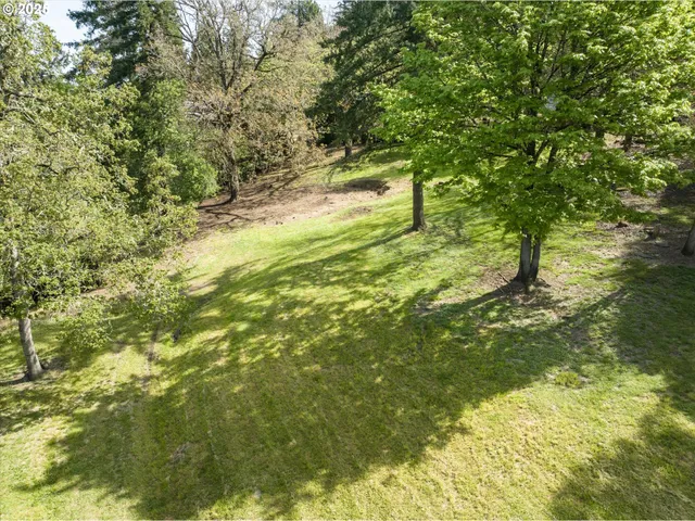 a backyard of a house with lots of green space