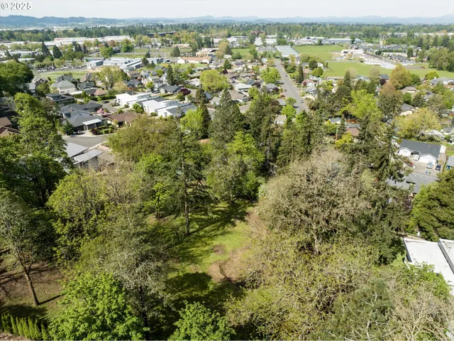 an aerial view of residential houses with outdoor space and trees
