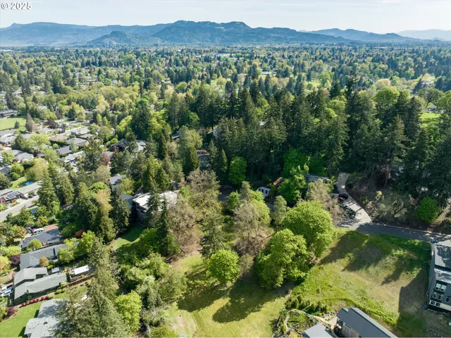a view of a lush green forest with trees and some houses
