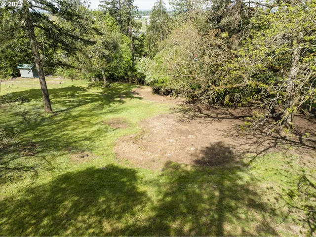 a view of yard with green space