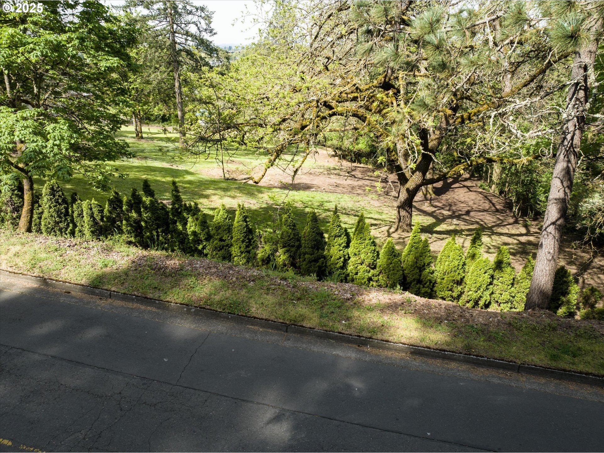 0 Crenshaw Road Eugene, OR 97401 - Photo 2 of 35 a view of a yard with plants and trees