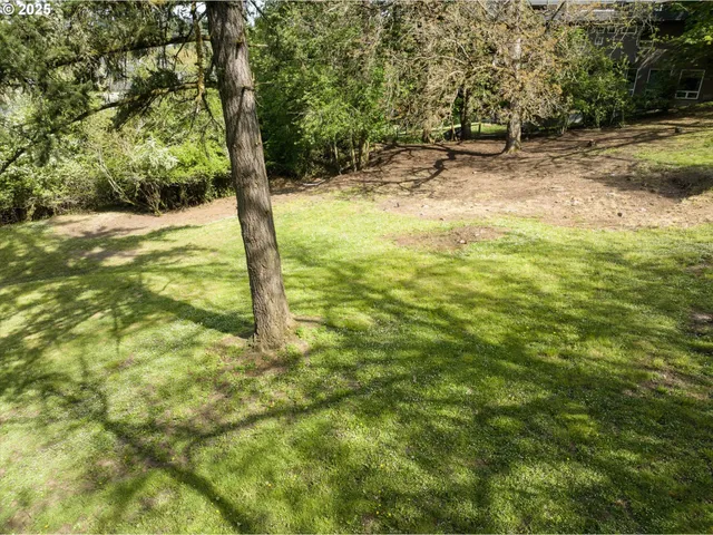 a backyard of a house with lots of green space