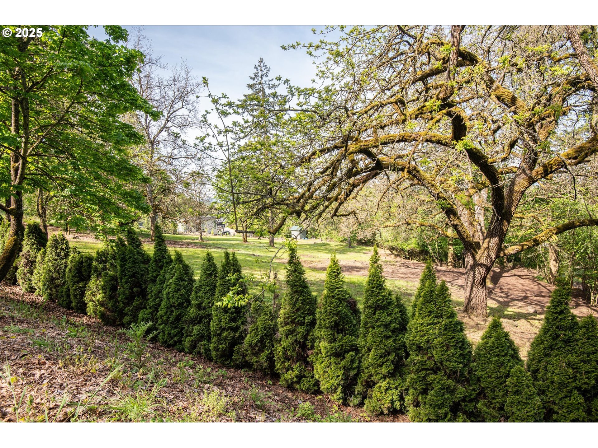 0 Crenshaw Road Eugene, OR 97401 - Photo 3 of 35 a view of a yard