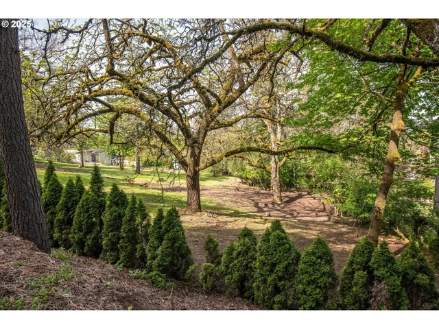a view of yard with green space