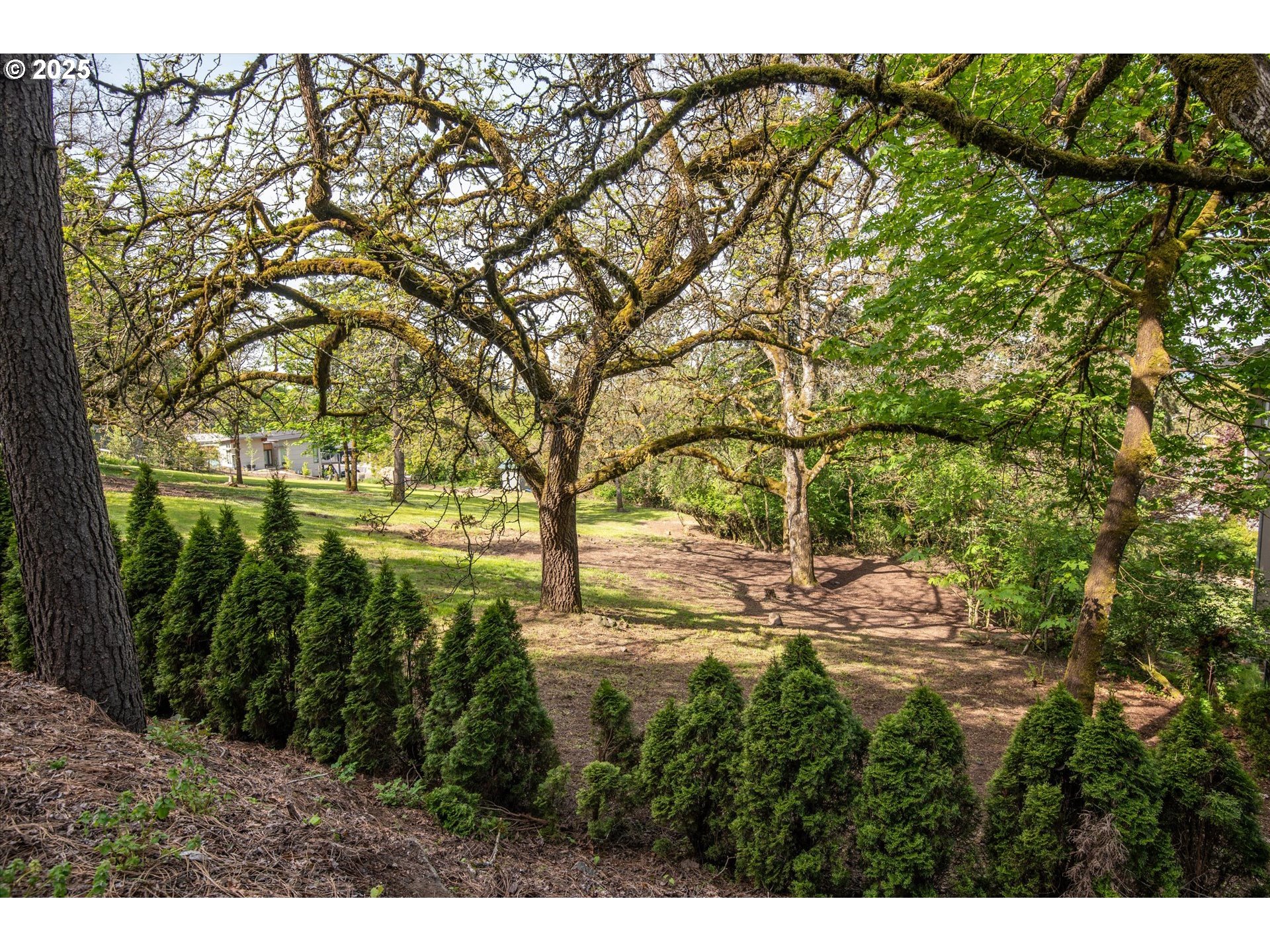 0 Crenshaw Road Eugene, OR 97401 - Photo 4 of 35 a view of yard with green space