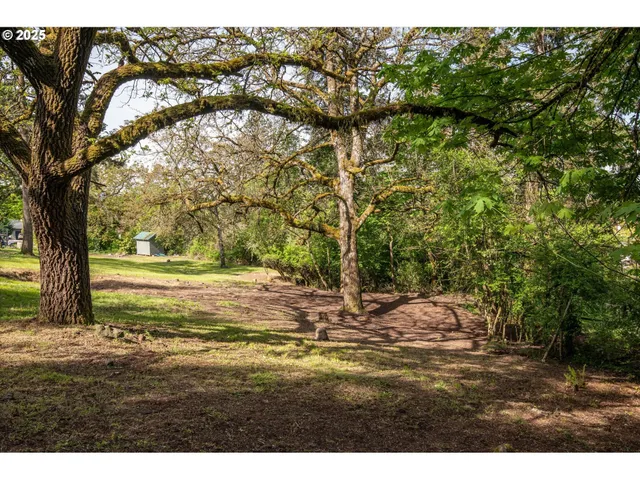 a view of outdoor space with trees