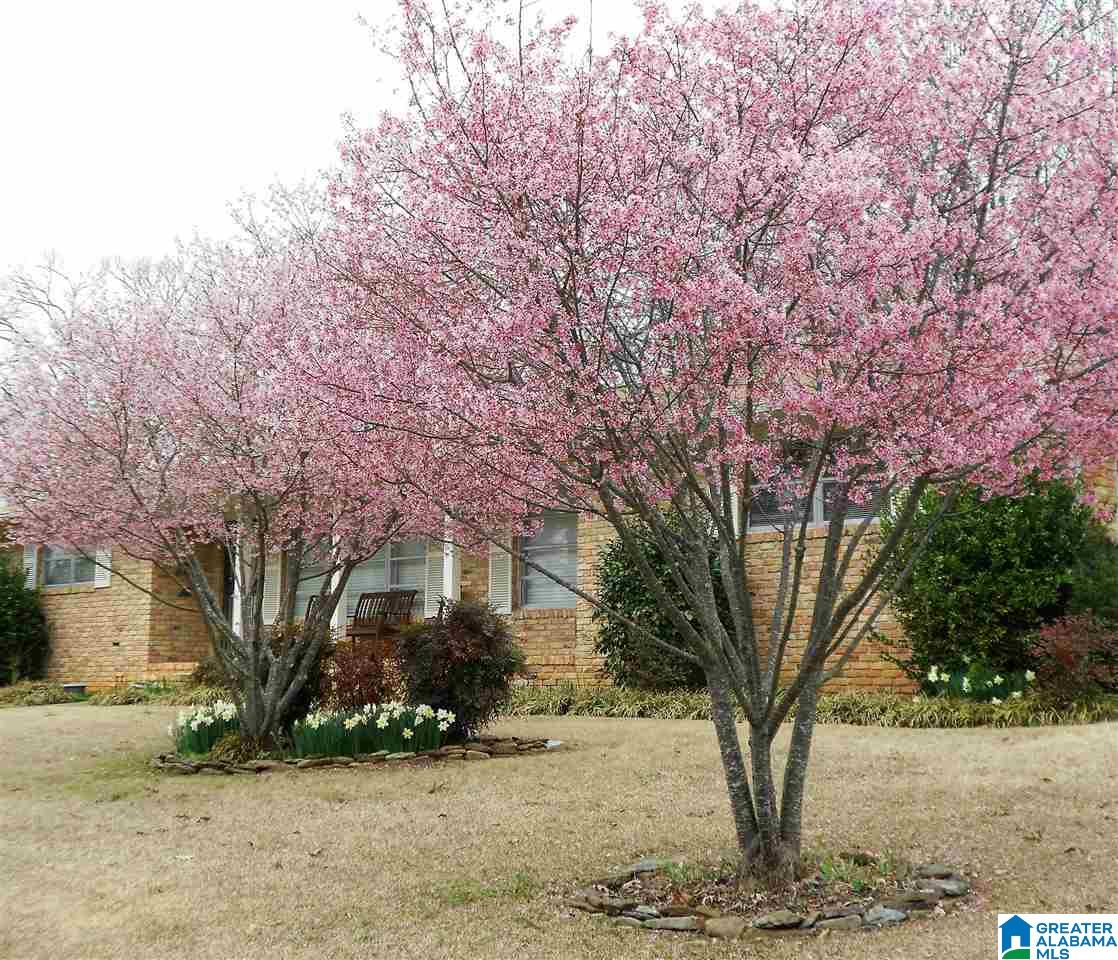 3525 Laurel View Road Birmingham, AL 35216 - Photo 35 of 35