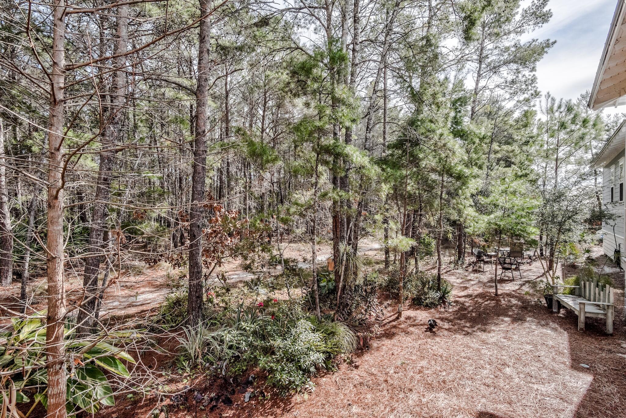 128 Emerald Beach Circle Santa Rosa Beach, FL 32459 - Photo 24 of 48 a view of a yard with plants and trees