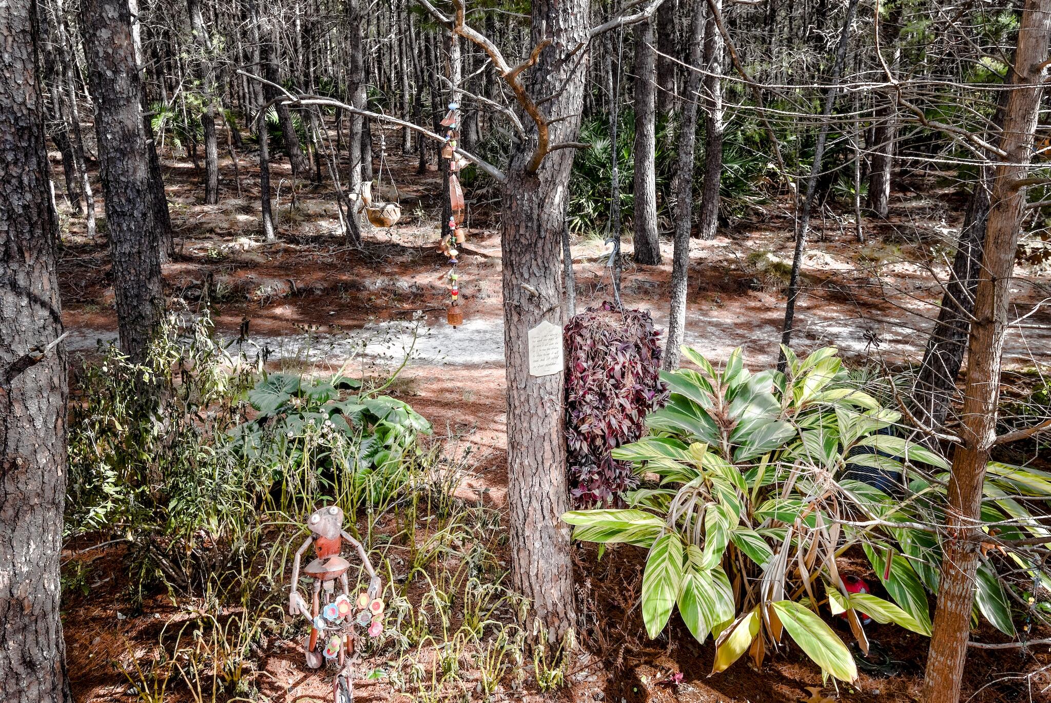 128 Emerald Beach Circle Santa Rosa Beach, FL 32459 - Photo 25 of 48 a backyard of a house with lots of green space