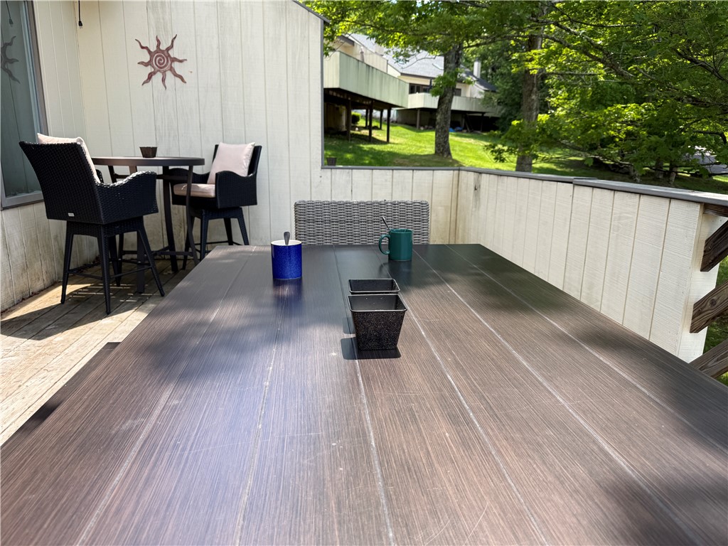 260 Pines Drive, Unit 810 Roxbury, NY 12421 - Photo 18 of 43 Long Table on Deck
